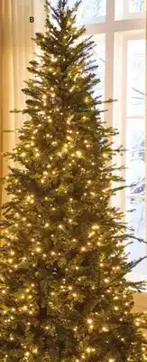 Ace Hardware 7.5' Prelit Cascading Color-Changing LED Slim Easton Spruce Tree offer