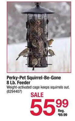 Ace Hardware Perky-Pet Squirrel-Be-Gone 8 Lb. Feeder offer
