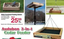 Ace Hardware Multi - Functional Feeding Station offer