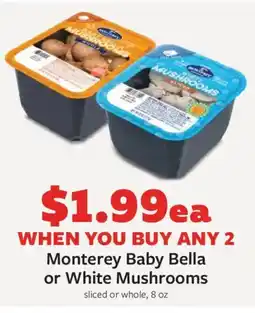 Fareway Monterey Baby Bella or White Mushrooms offer