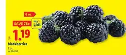Lidl blackberries offer