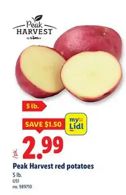 Lidl Peak Harvest red potatoes offer