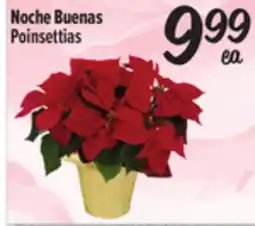 El Super Poinsettias offer