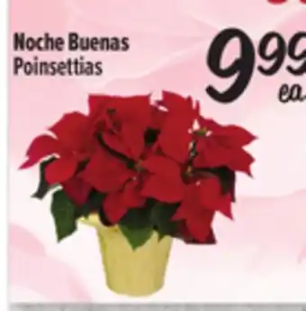 El Super Fresh Poinsettias offer