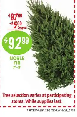 Foodmaxx Tree offer