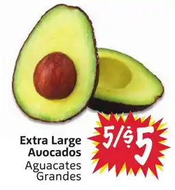 Foodmaxx Extra Large Avocados offer