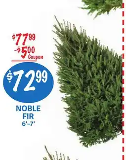 Foodmaxx NOBLE FIR offer