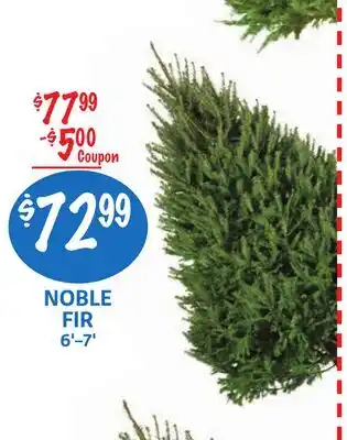 Foodmaxx NOBLE FIR offer