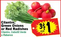 Superior Grocers Cilantro, Green Onions or Red Radishes offer