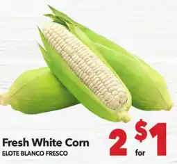 Vallarta Supermarkets Fresh White Corn / ELOTE BLANCO FRESCO offer
