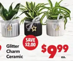 Vallarta Supermarkets Glitter Charm Ceramic offer