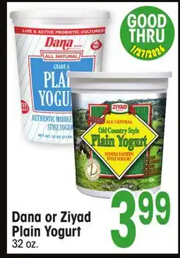 Jewel-Osco Dana or Ziyad Plain Yogurt offer