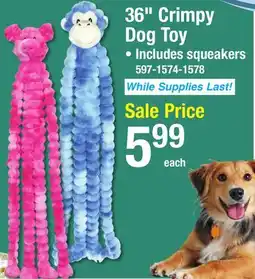 Menards 36 Crimpy Dog Toy offer