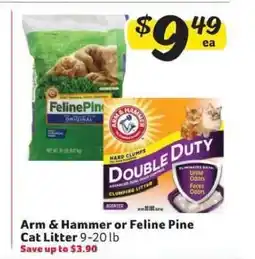 Winn Dixie Arm & Hammer or Feline Pine Cat Litter offer