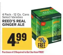 Food Lion Reed's Real Ginger Ale offer