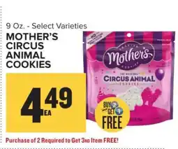 Food Lion MOTHER’S CIRCUS ANIMAL COOKIES offer