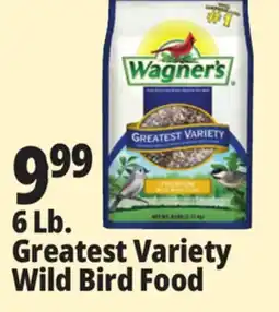 Ocean State Job Lot 6 Lb. Greatest Variety Wild Bird Food offer