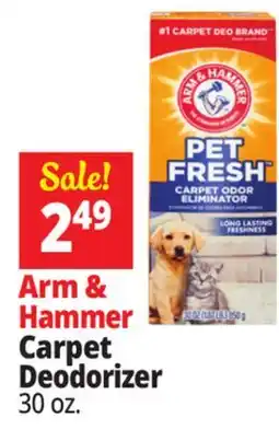 Ocean State Job Lot Arm & Hammer Carpet Deodorizer offer