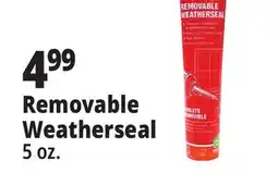 Ocean State Job Lot Removable Weatherseal offer