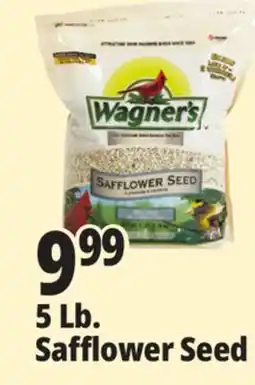 Ocean State Job Lot Wagner's Safflower Seed offer