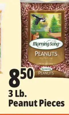 Ocean State Job Lot 3 Lb. Peanut Pieces offer