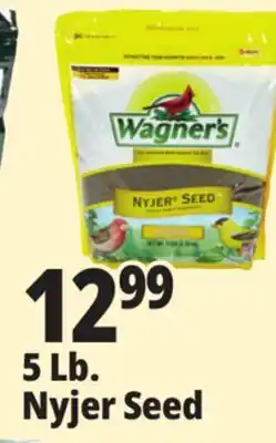 Ocean State Job Lot Nyjer Seed offer