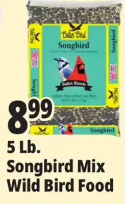 Ocean State Job Lot Songbird Mix Wild Bird Food offer