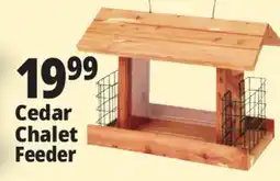 Ocean State Job Lot Cedar Chalet Feeder offer