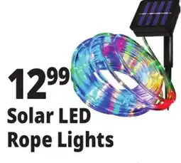 Ocean State Job Lot Solar LED Rope Lights offer