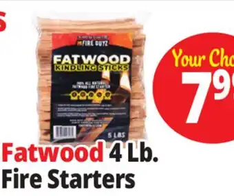 Ocean State Job Lot Fatwood 4 Lb. Fire Starters offer