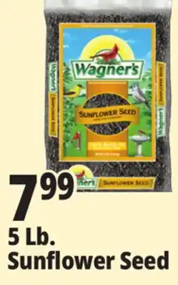 Ocean State Job Lot Wagner's 5 Lb. Sunflower Seed offer