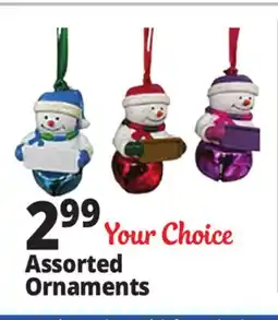 Ocean State Job Lot Assorted Ornaments offer