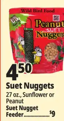 Ocean State Job Lot Suet Nuggets offer