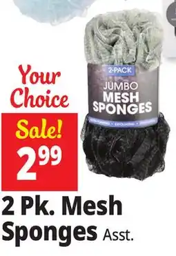 Ocean State Job Lot 2 Pk. Mesh Sponges offer