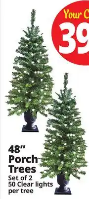 Ocean State Job Lot 48 Porch Trees offer