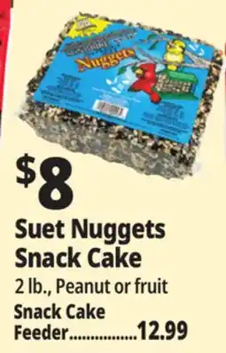 Ocean State Job Lot Suet Nuggets Snack Cake offer
