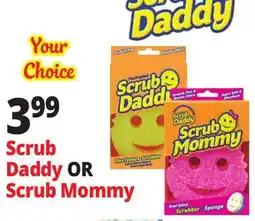 Ocean State Job Lot Scrub Daddy OR Scrub Mommy offer