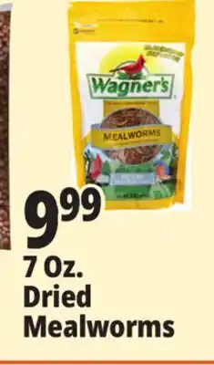 Ocean State Job Lot Wagner's Bird Meal Worms offer