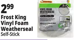 Ocean State Job Lot Vinyl Foam Weatherseal offer