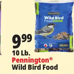 Ocean State Job Lot 10 Lb. Wild Bird Food offer