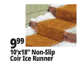 Ocean State Job Lot 10'x18 Non-Slip Coir Ice Runner offer