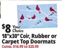 Ocean State Job Lot 18x30 Coir, Rubber or Doormats offer