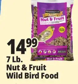 Ocean State Job Lot 7 Lb. Nut & Fruit Wild Bird Food offer