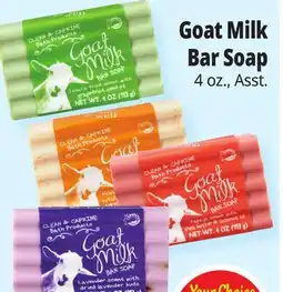 Ocean State Job Lot Goat Milk Bar Soap offer