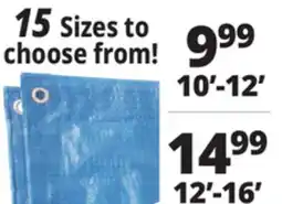 Ocean State Job Lot 15 Sizes to choose from! 10'-12' offer