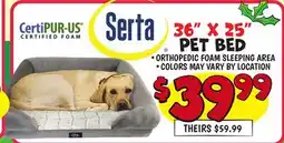 Ollie's PET BED offer