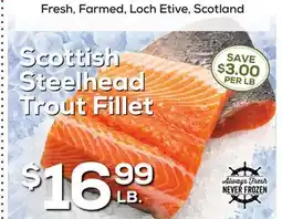 DeCicco & Sons Scottish Steelhead Trout Fillet offer