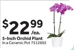Stop&Shop 5-Inch Orchid Plant offer