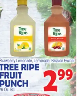 Bravo Supermarkets TREE RIPE FRUIT PUNCH 76 Oz. Btl offer