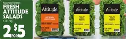 Bravo Supermarkets FRESH ATTITUDE SALADS 5 Oz. Pkg offer